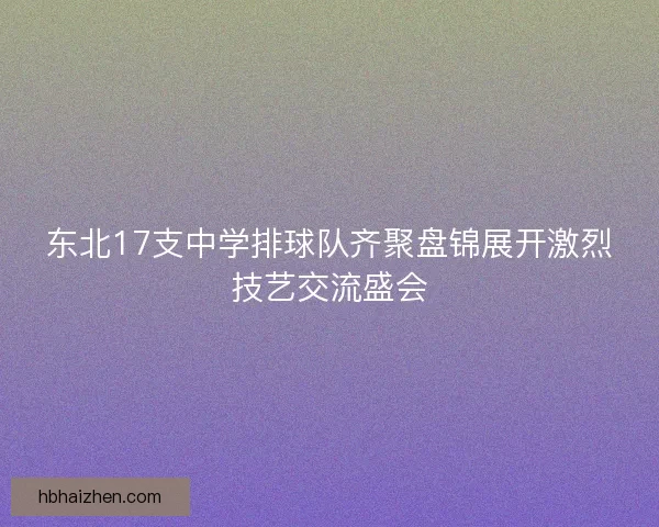 东北17支中学排球队齐聚盘锦展开激烈技艺交流盛会