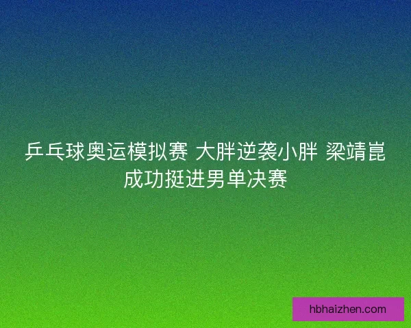 乒乓球奥运模拟赛 大胖逆袭小胖 梁靖崑成功挺进男单决赛